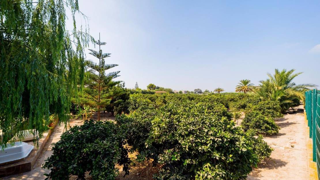 Venta - Country House - Almoradí - Almoradi Centro