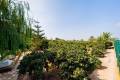 Venta - Country House - Almoradí - Almoradi Centro