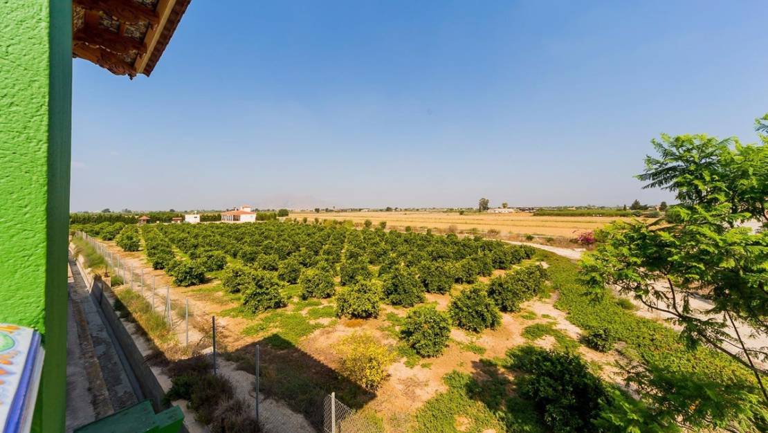 Venta - Country House - Almoradí - Almoradi Centro