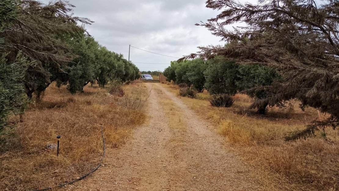 Venta - Country House - Cartagena - La Magdalena