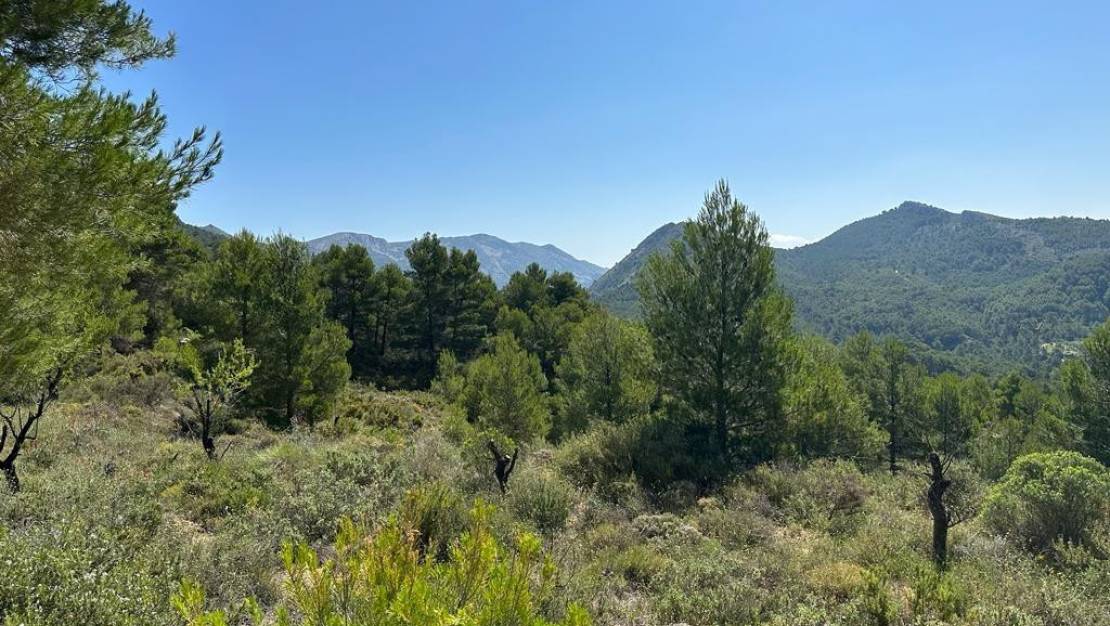 Venta - Country House - Confrides - Confrides Centro