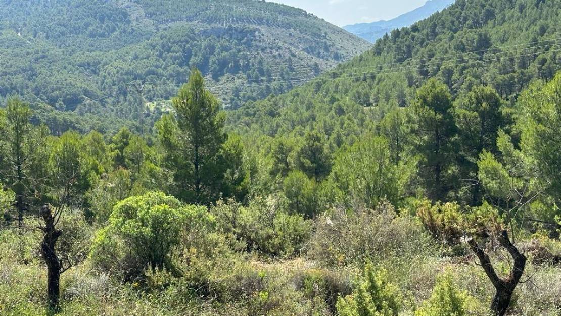 Venta - Country House - Confrides - Confrides Centro