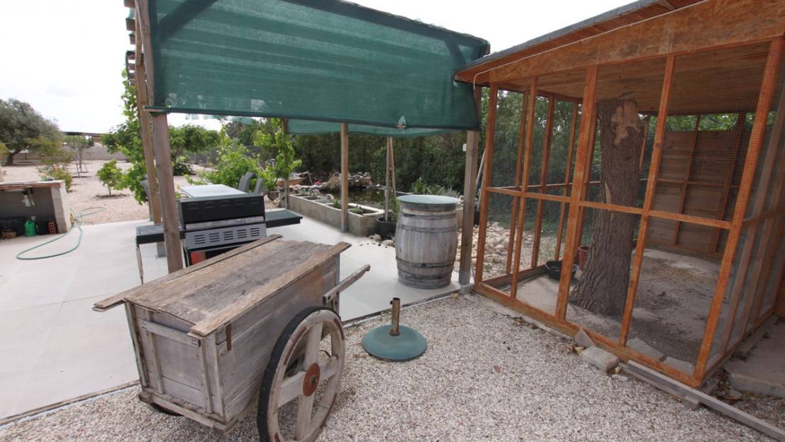 Venta - Country House - Crevillente - Crevillent - Crevillente - Crevillent Centro