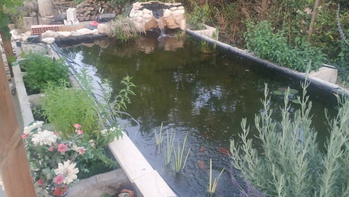 Venta - Country House - Crevillente - Crevillent - Crevillente - Crevillent Centro