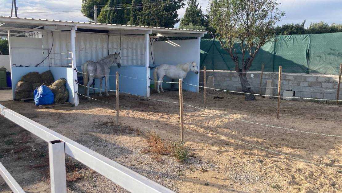 Venta - Country House - Crevillente - Crevillent - Crevillente - Crevillent Centro