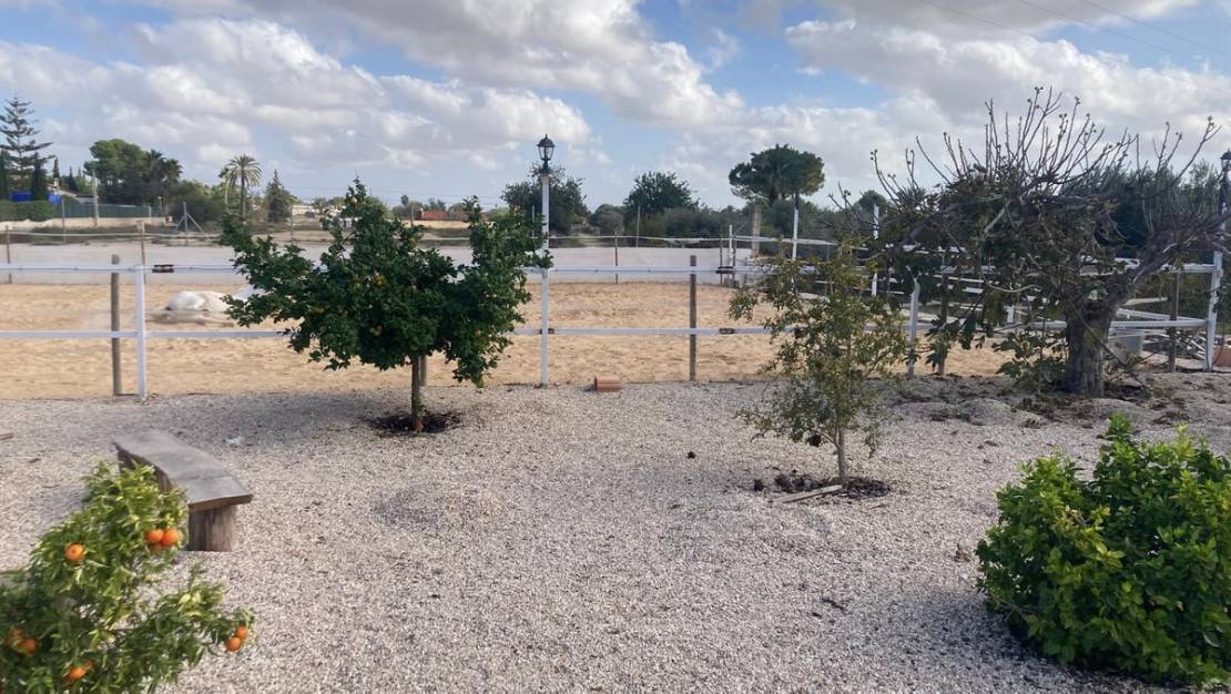 Venta - Country House - Crevillente - Crevillent - Crevillente - Crevillent Centro