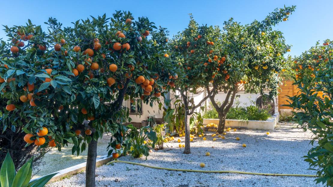 Venta - Country House - Denia - Jesus Pobre