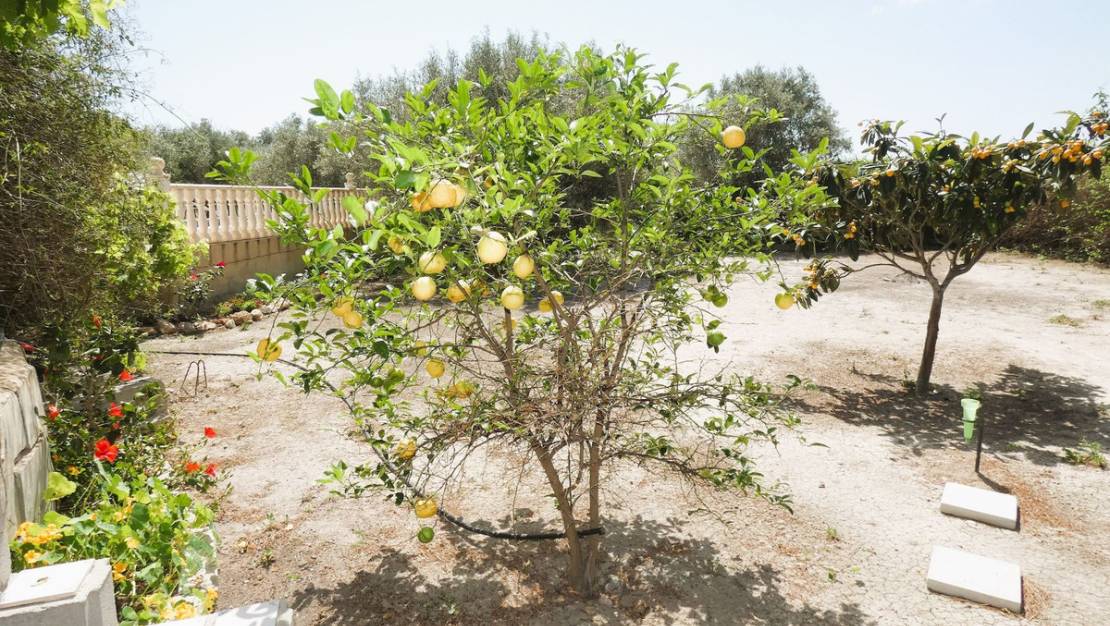 Venta - Country House - Dolores - Dolores Centro