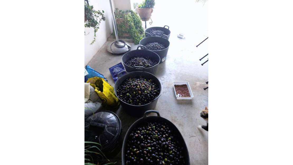 Venta - Country House - Dolores - Dolores Centro