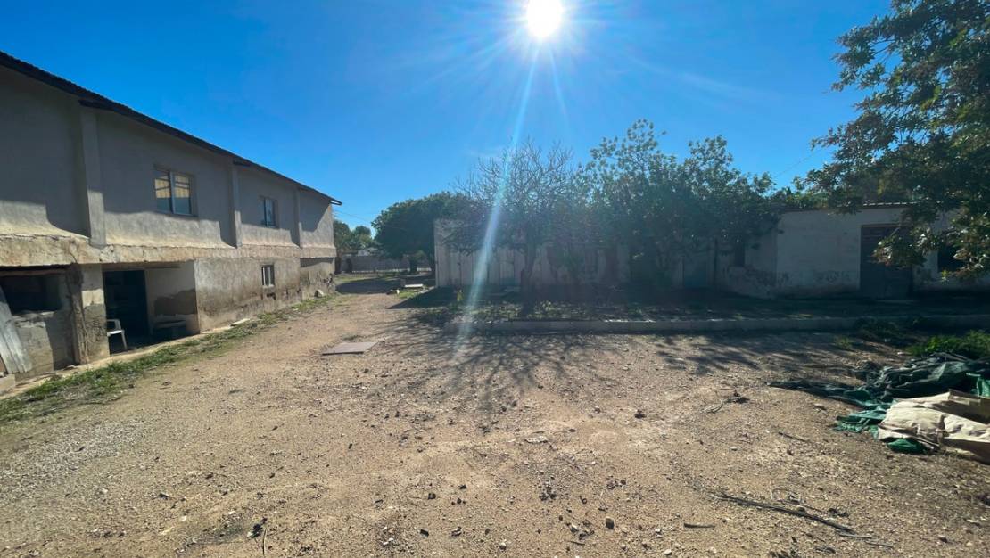 Venta - Country House - Elche - Elche Centro