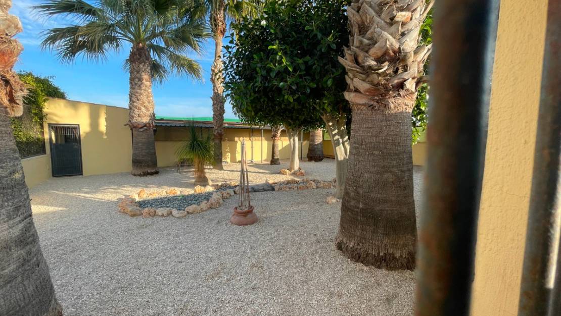 Venta - Country House - Elche - Las Bayas