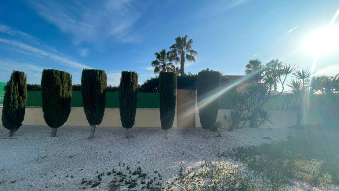 Venta - Country House - Elche - Las Bayas