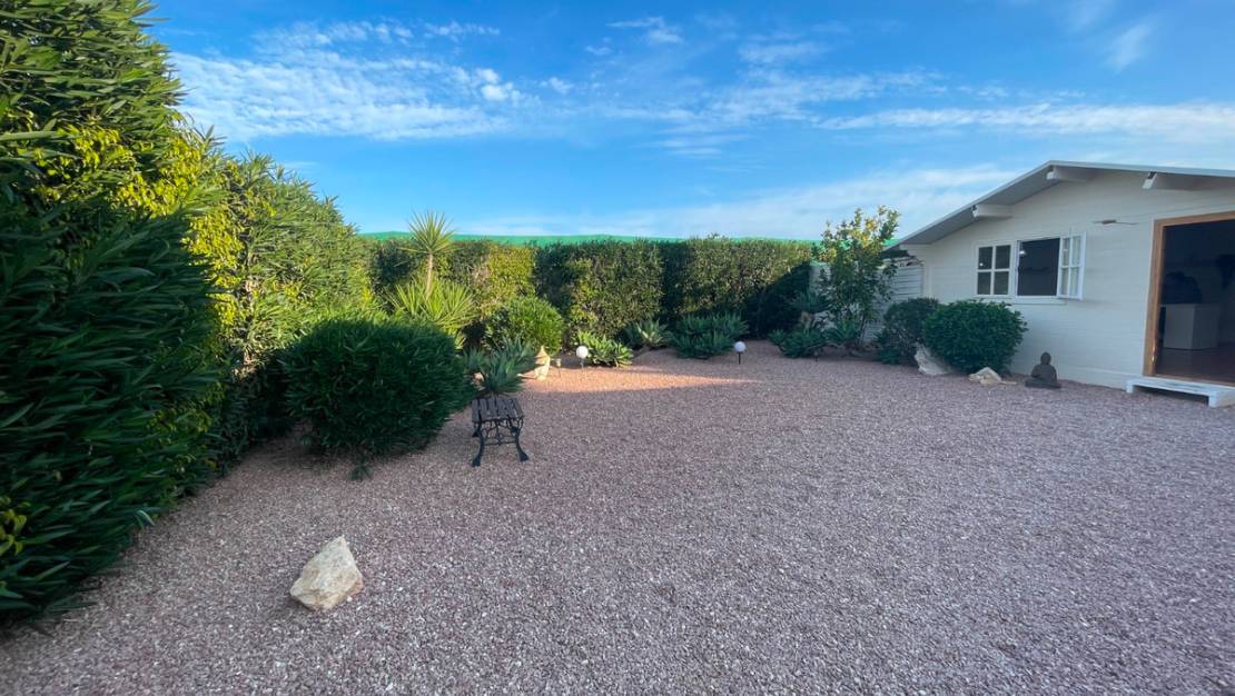 Venta - Country House - Elche - Las Bayas