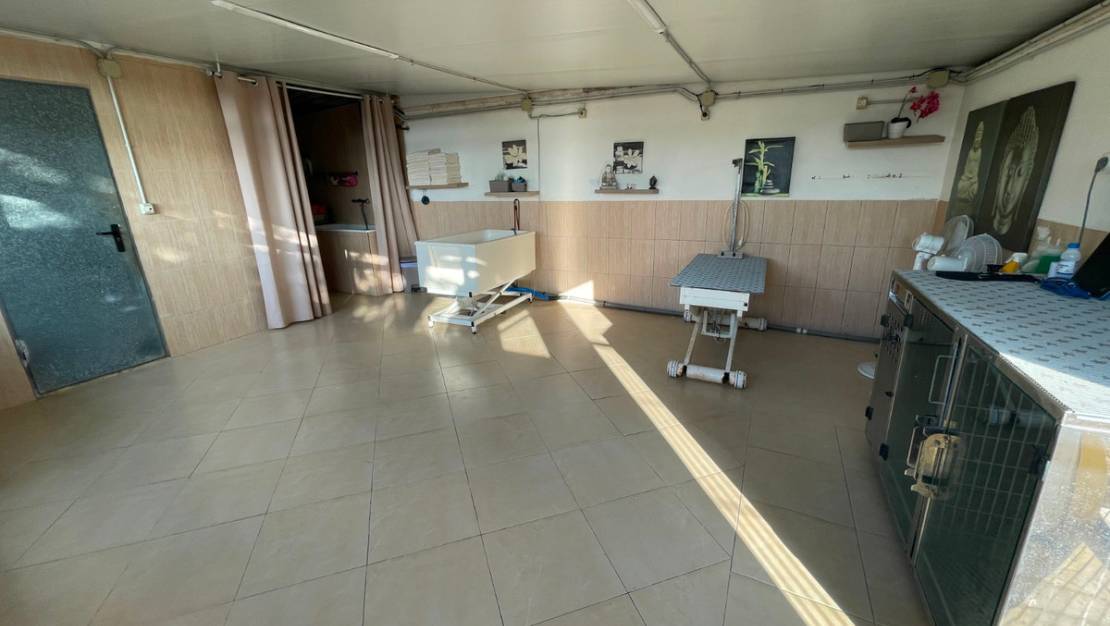 Venta - Country House - Elche - Las Bayas