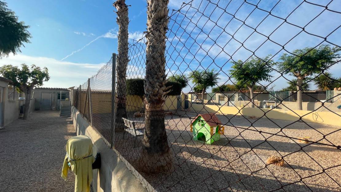 Venta - Country House - Elche - Las Bayas