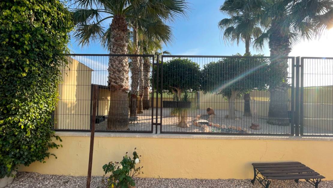 Venta - Country House - Elche - Las Bayas