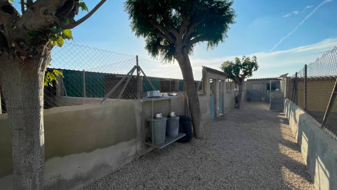 Venta - Country House - Elche - Las Bayas