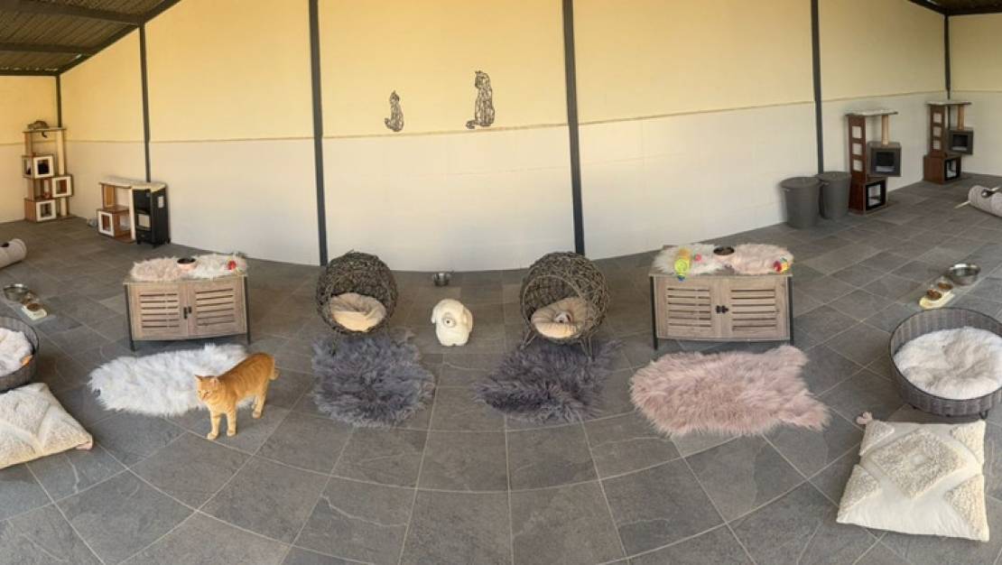 Venta - Country House - Elche - Las Bayas