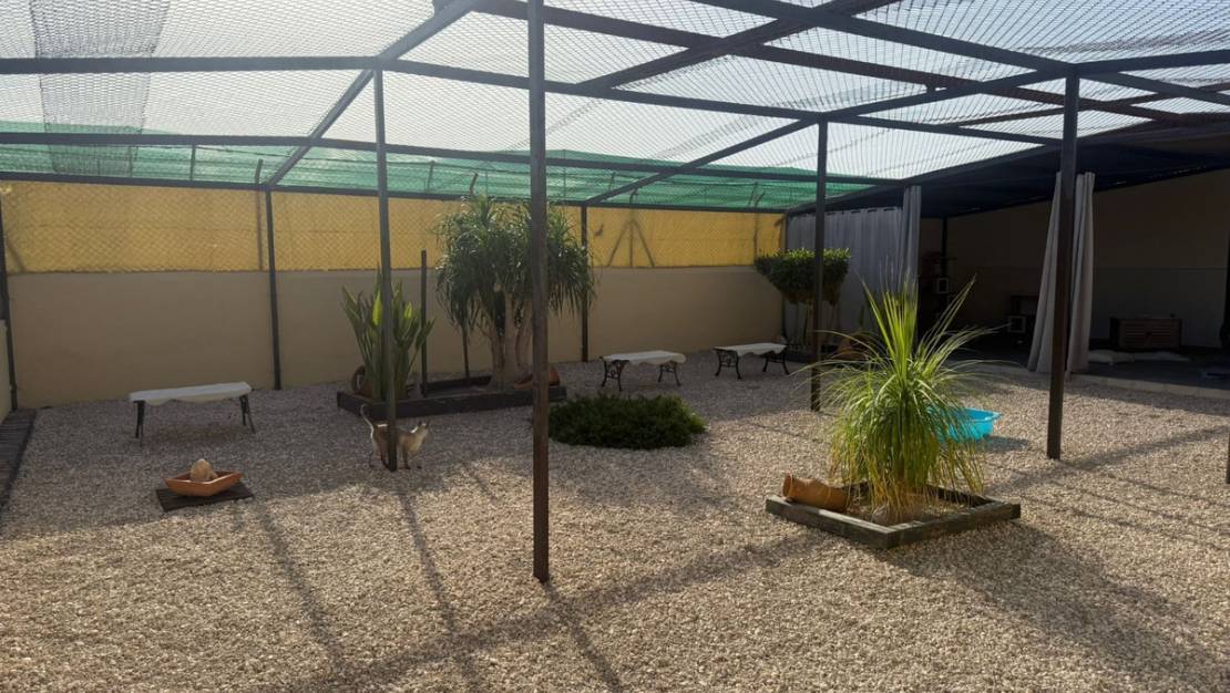 Venta - Country House - Elche - Las Bayas