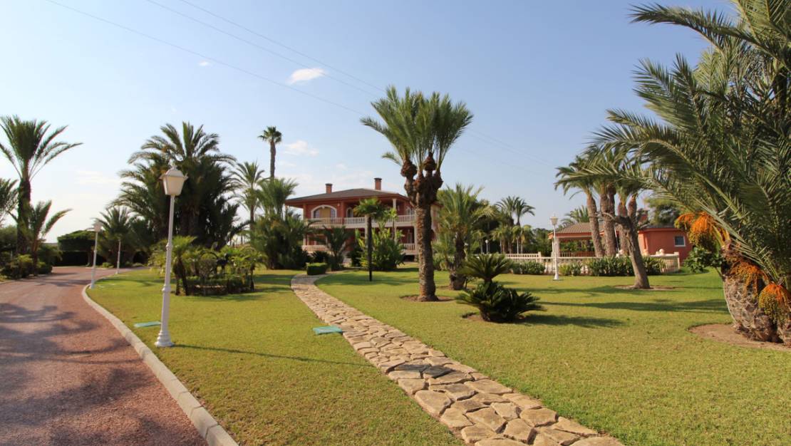 Venta - Country House - Elche - Valverde