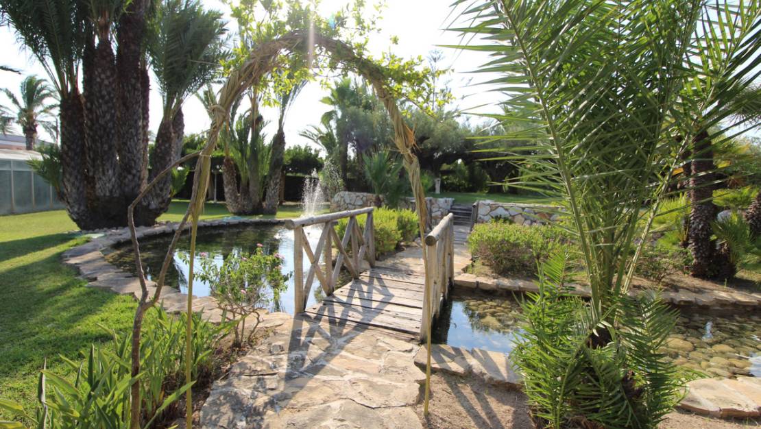 Venta - Country House - Elche - Valverde