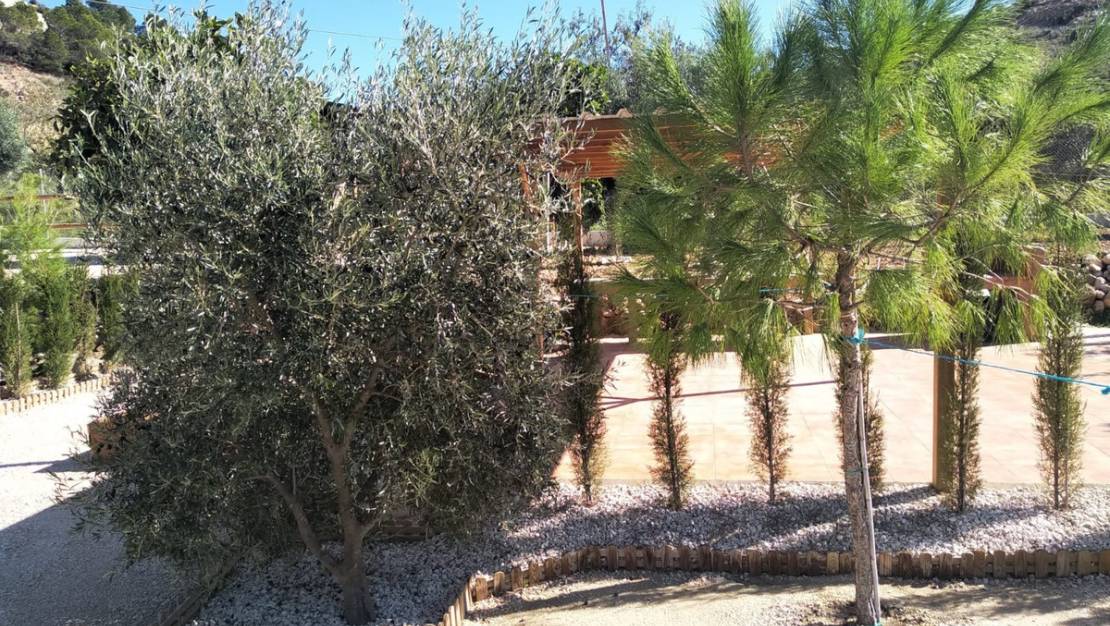 Venta - Country House - Fortuna - Fortuna Centro