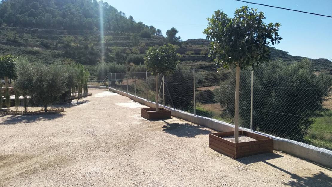 Venta - Country House - Fortuna - Fortuna Centro