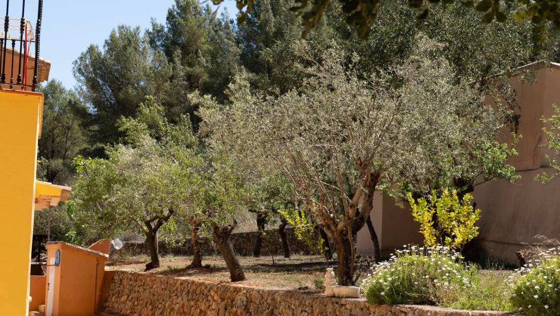 Venta - Country House - Jalón - Jalon Centro