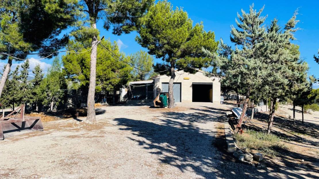 Venta - Country House - Jijona - Jijona Centro