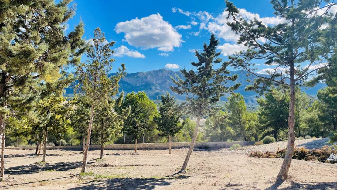 Venta - Country House - Jijona - Jijona Centro