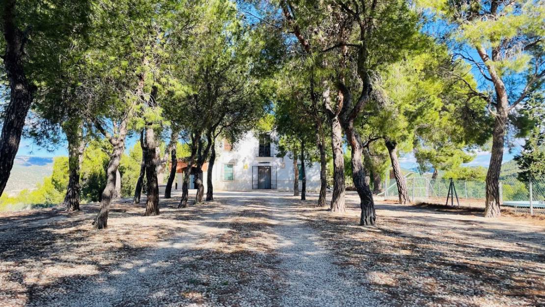 Venta - Country House - Jijona - Jijona Centro