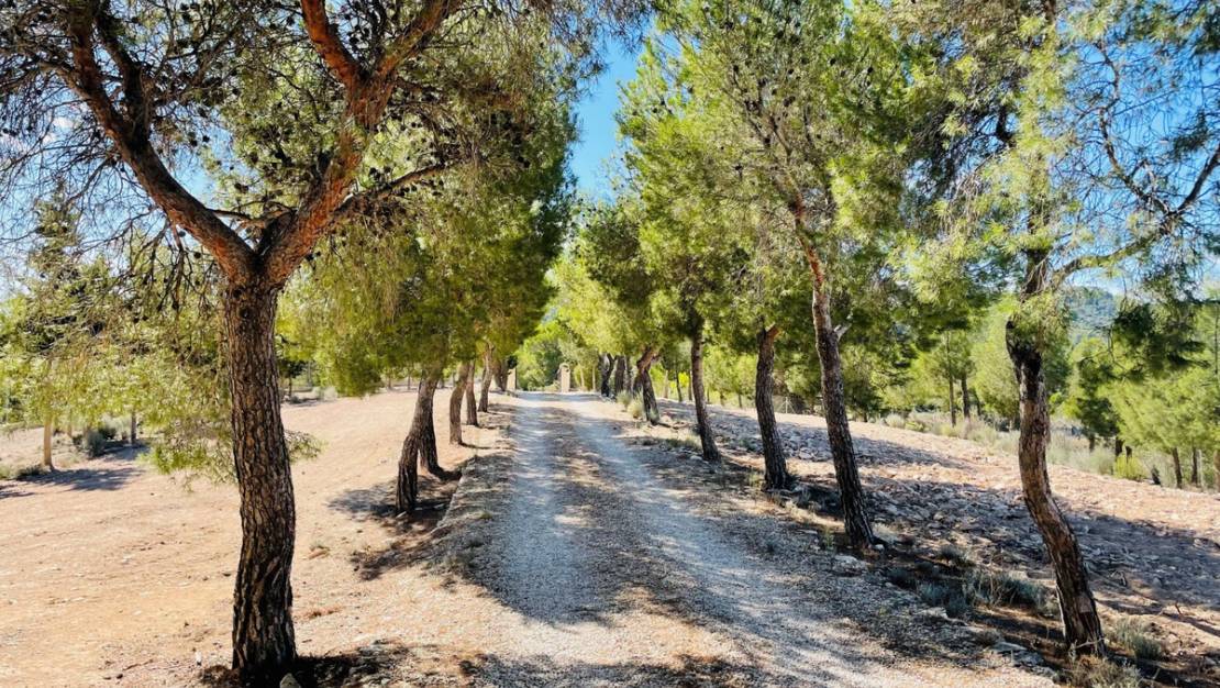 Venta - Country House - Jijona - Jijona Centro