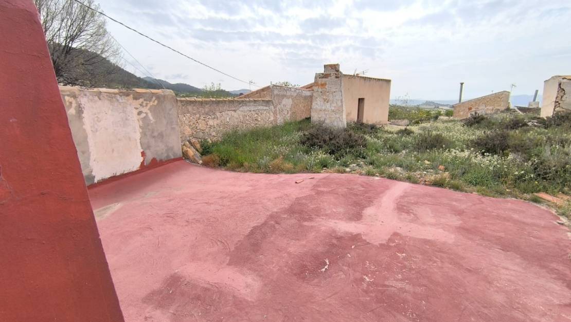 Venta - Country House - Jumilla - Jumilla Centro