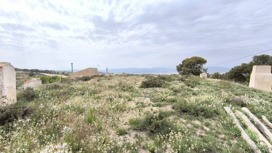 Venta - Country House - Jumilla - Jumilla Centro