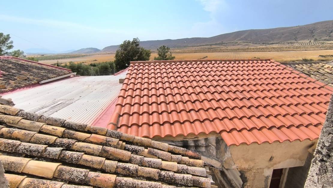 Venta - Country House - Jumilla - Jumilla Centro