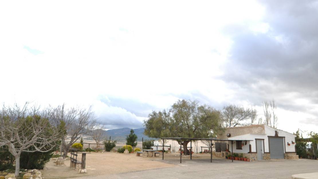 Venta - Country House - Jumilla - Jumilla Centro