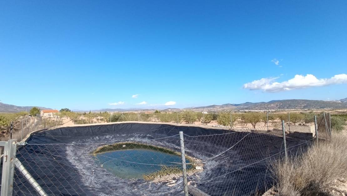 Venta - Country House - Jumilla - Jumilla Centro