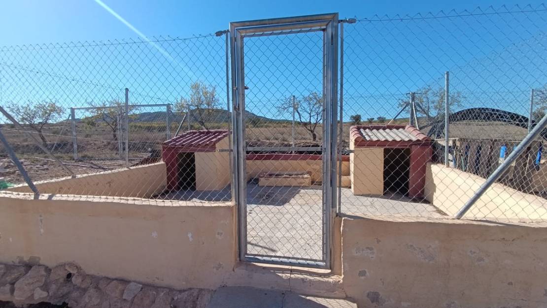 Venta - Country House - Jumilla - Jumilla Centro