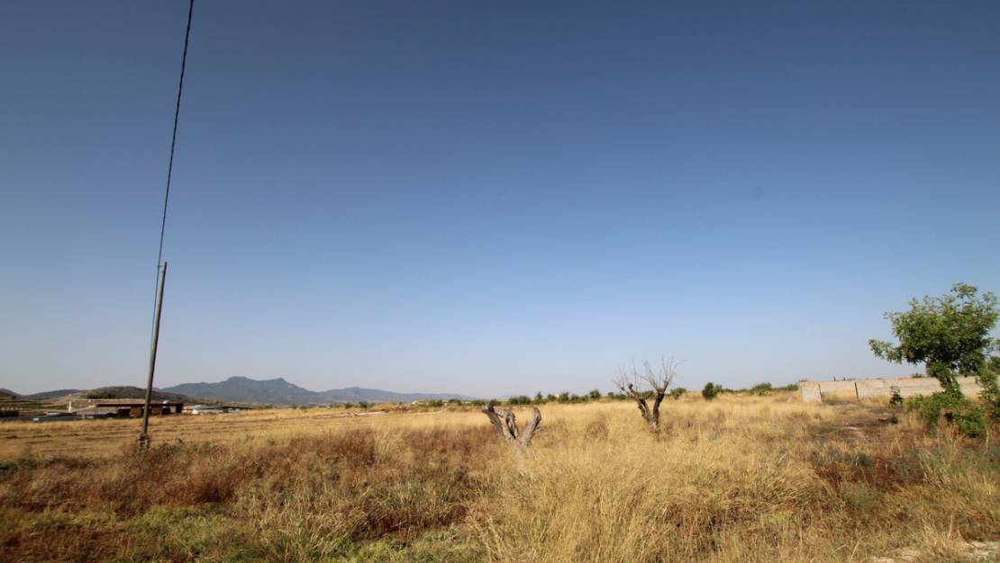 Venta - Country House - Jumilla - Torre Del Rico