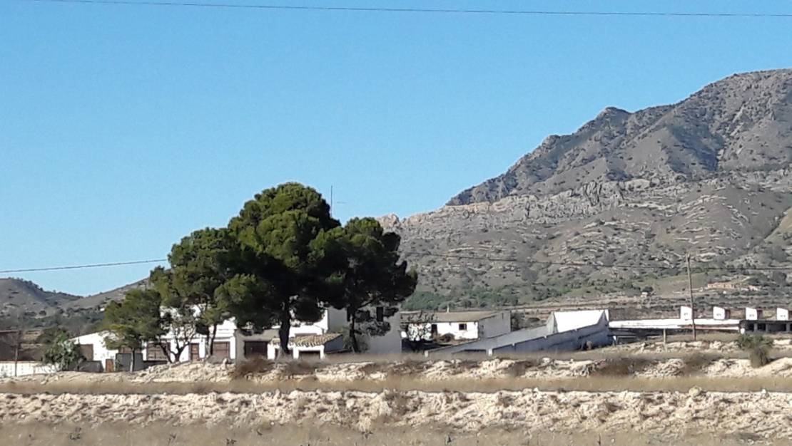 Venta - Country House - Jumilla - Torre Del Rico