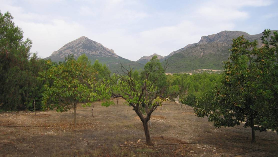 Venta - Country House - La Nucía - La Nucia Centro