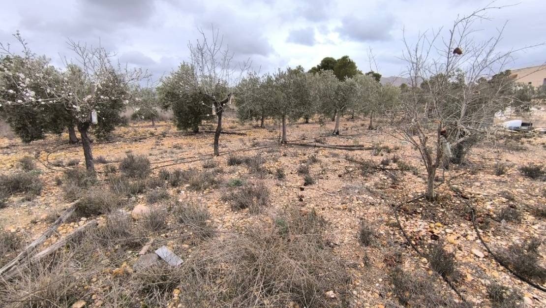 Venta - Country House - La Romana - La Romana Centro