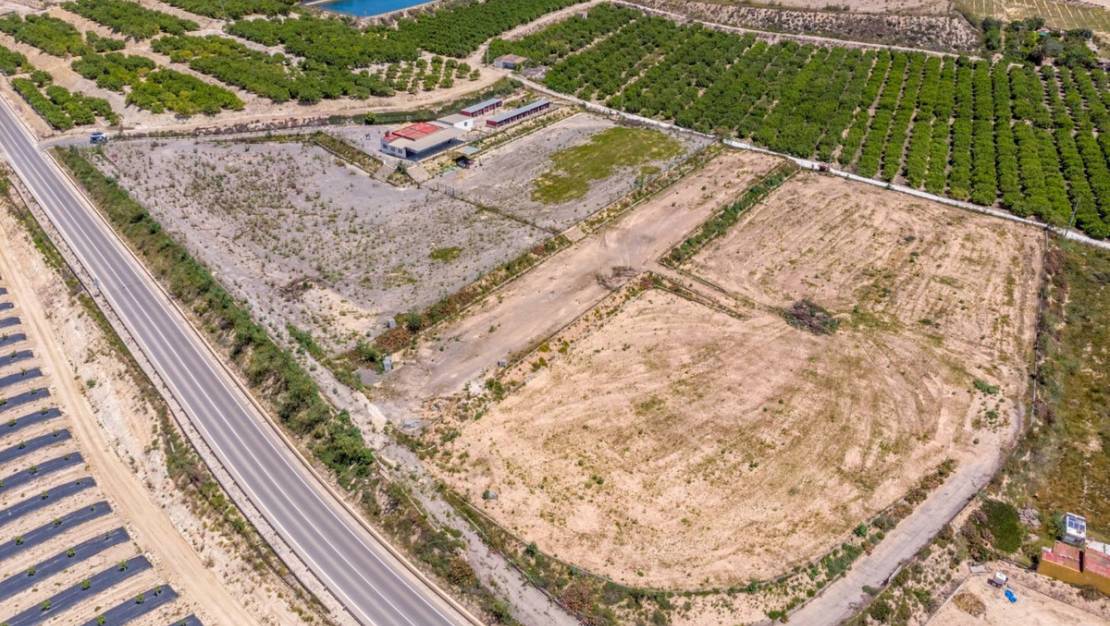 Venta - Country House - Los Montesinos - Los Montesinos Centro