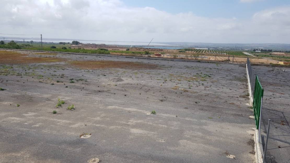 Venta - Country House - Los Montesinos - Los Montesinos Centro