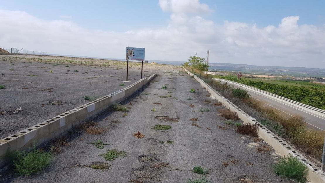 Venta - Country House - Los Montesinos - Los Montesinos Centro