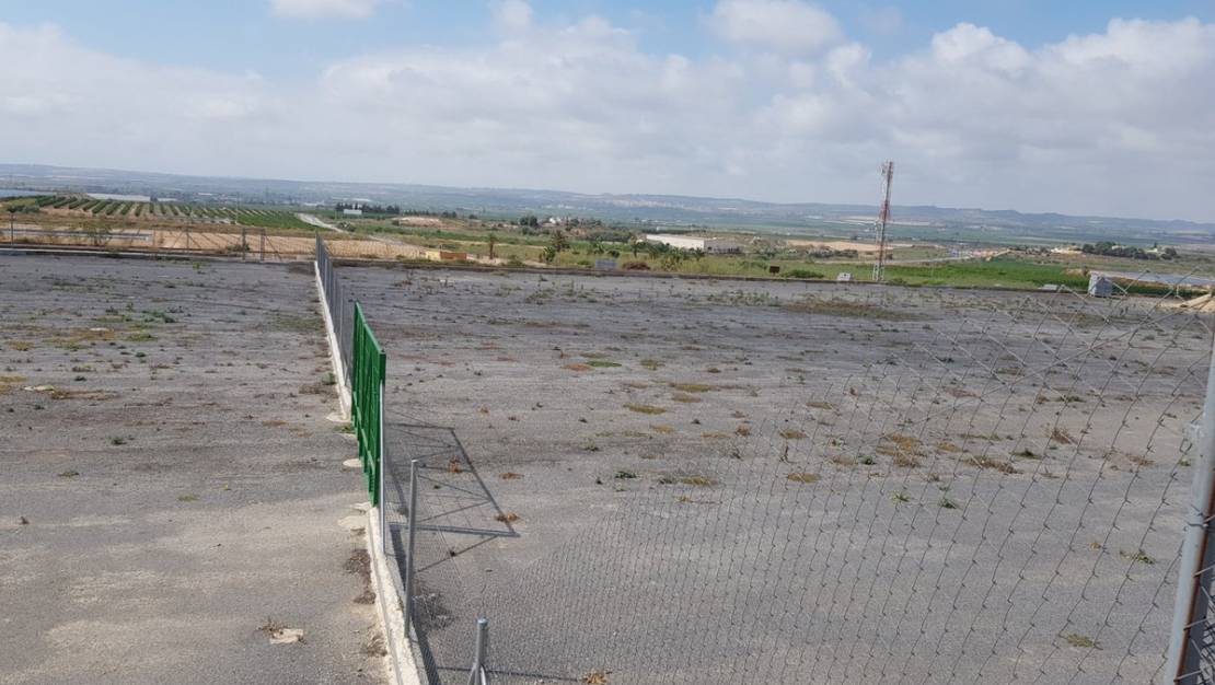 Venta - Country House - Los Montesinos - Los Montesinos Centro