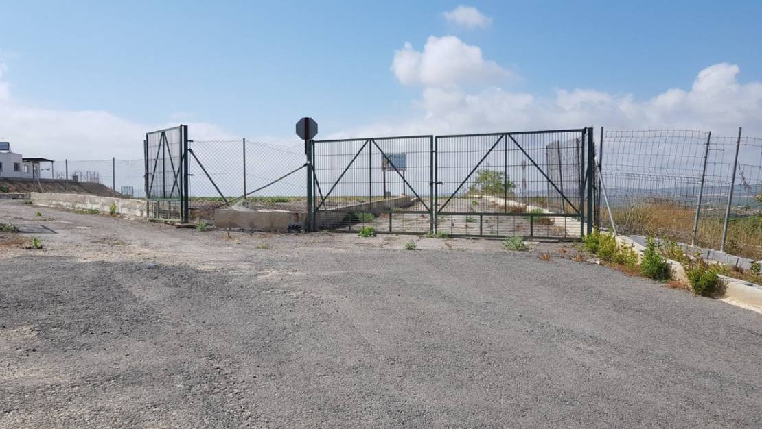 Venta - Country House - Los Montesinos - Los Montesinos Centro