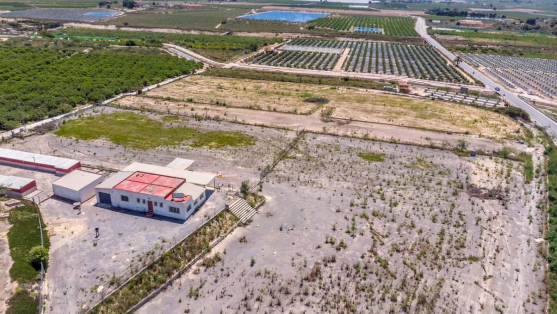 Venta - Country House - Los Montesinos - Los Montesinos Centro