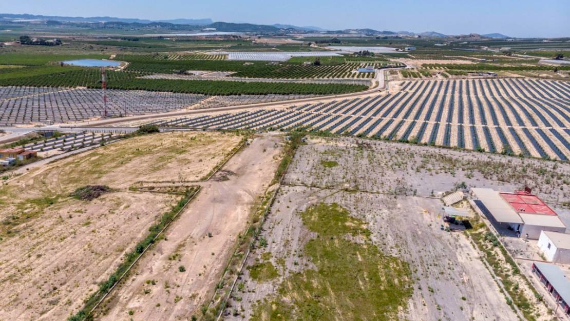 Venta - Country House - Los Montesinos - Los Montesinos Centro