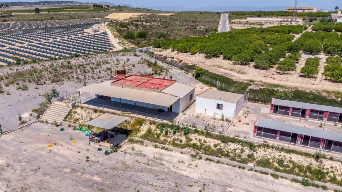 Venta - Country House - Los Montesinos - Los Montesinos Centro